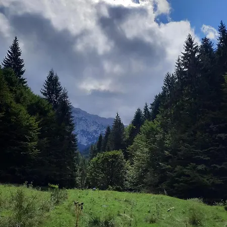 804- Etaj 8 In Incinta Alpin - Gazda Privata 4* Brasov